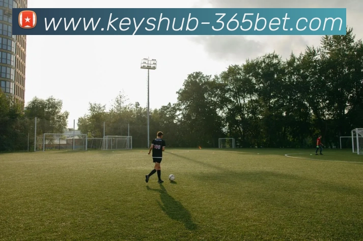 数据防护可视化